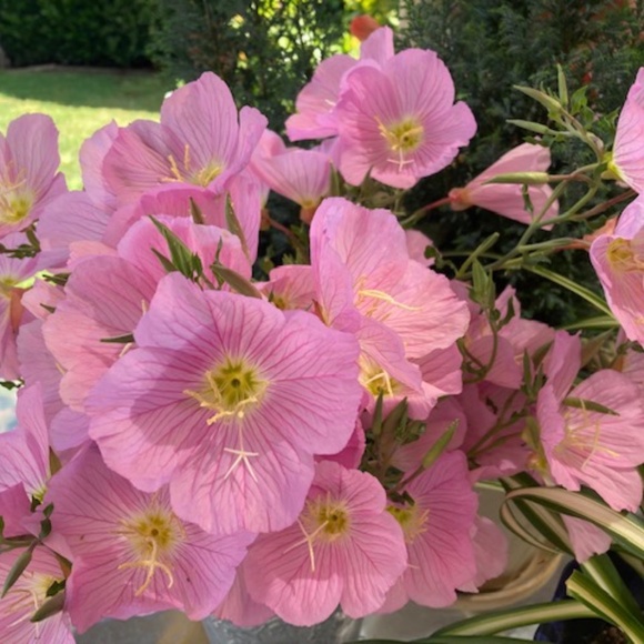 Vintage Seamprufe Waltz Length Peignoir Set - Picture 14 of 14